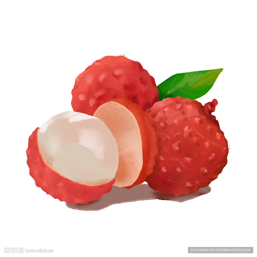 新鲜荔枝插画