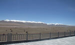 雪山远景围栏风景