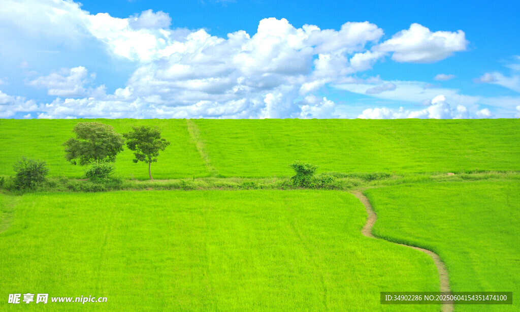 绿野小径 田园风光美景
