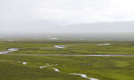 草原湿地风光