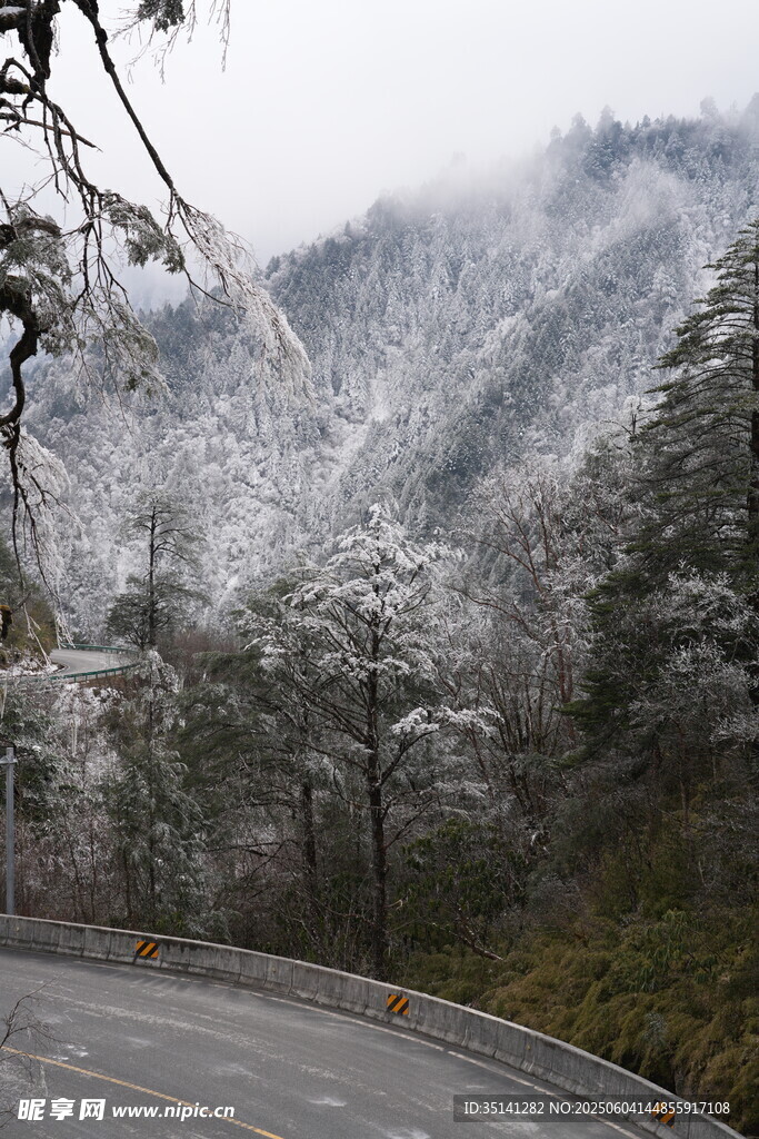 雪覆山林间的蜿蜒公路