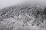 雪覆山林 云雾缭绕之景