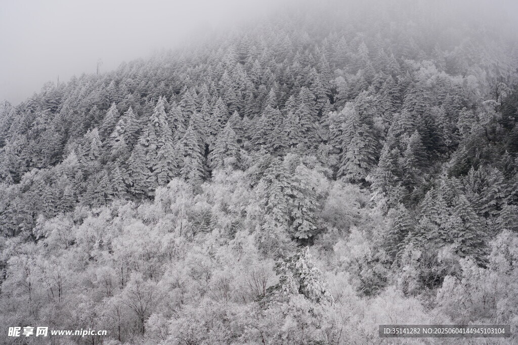 雪覆山林 云雾缭绕之景