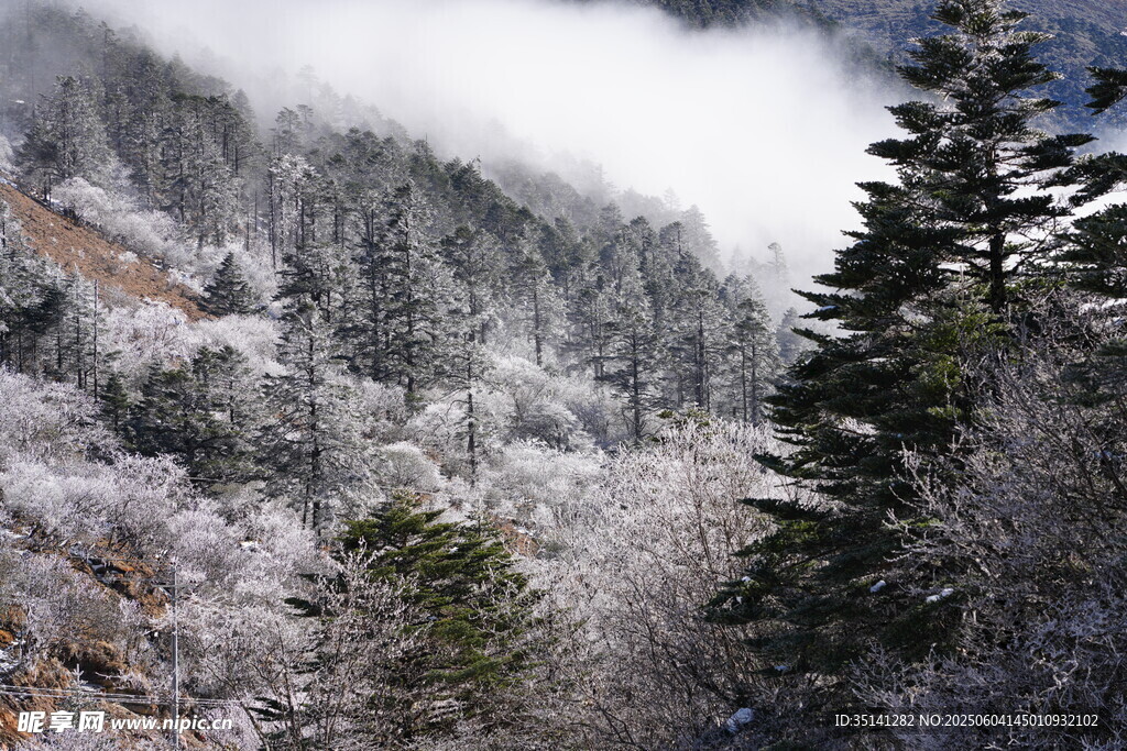 雪覆山林云雾缭绕美景