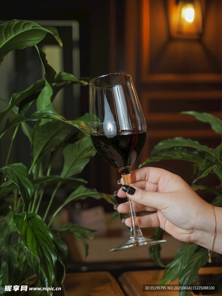 手擎红酒杯于绿植间