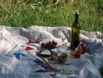 户外野餐布置与美食美酒