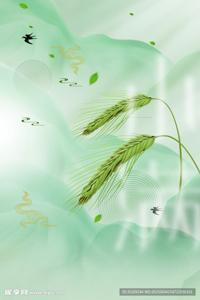 稻谷麦穗背景