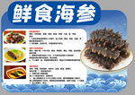 鲜食海参介绍宣传页