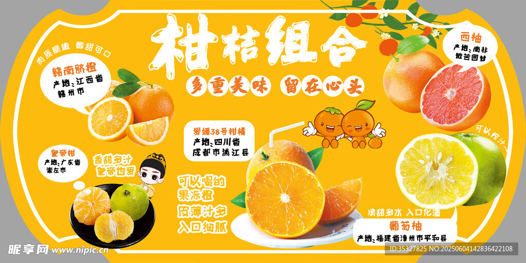柑橘组合水果包装展示