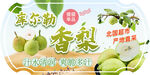库尔勒香梨 新鲜多汁诱人