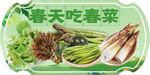 春天尝多样春菜展示