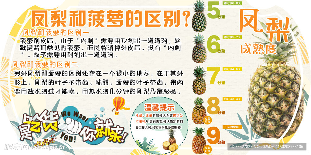 菠萝营养与挑选知识科普