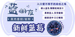 新鲜蓝莓 入口即享好滋味