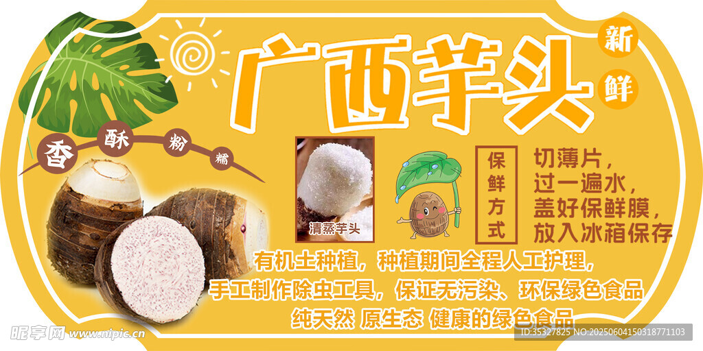 广西香水椰 美味新体验