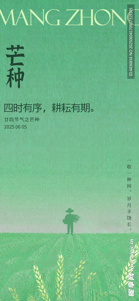 芒种