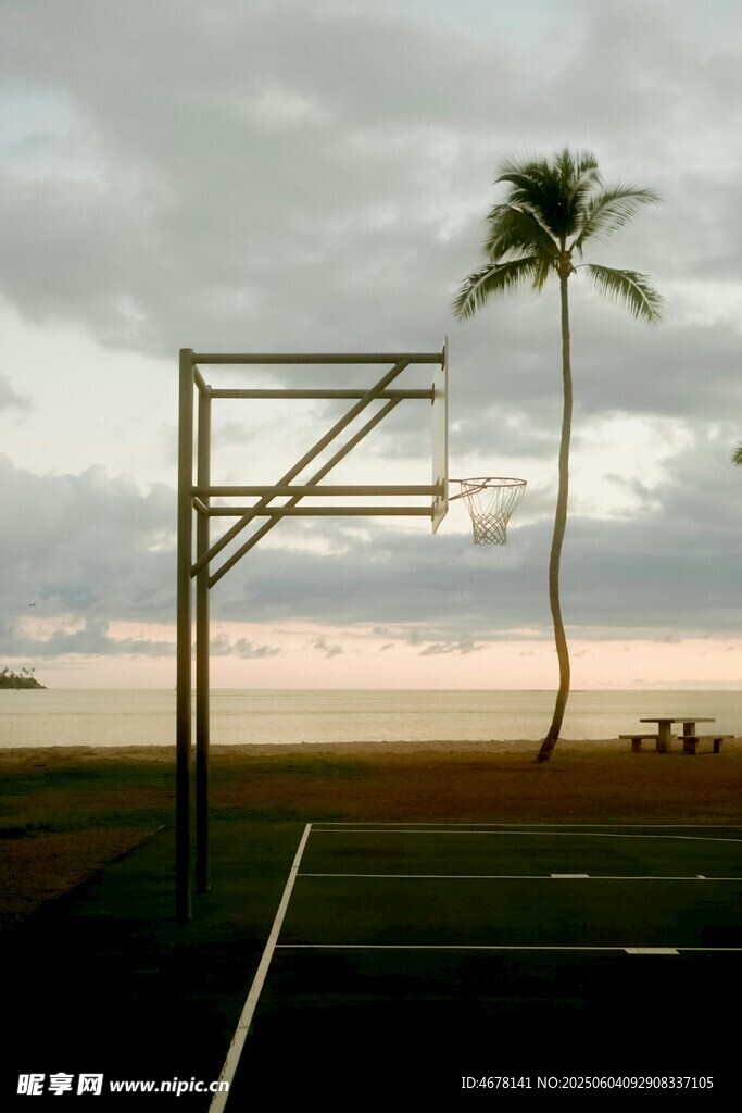 孤独篮球架旁的椰树风景
