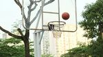 篮球入框瞬间