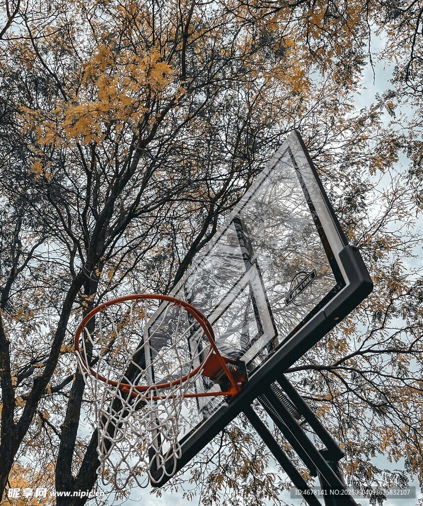 秋日树林中的篮球架