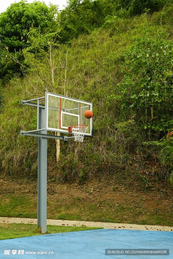 户外篮球架 清新自然场景