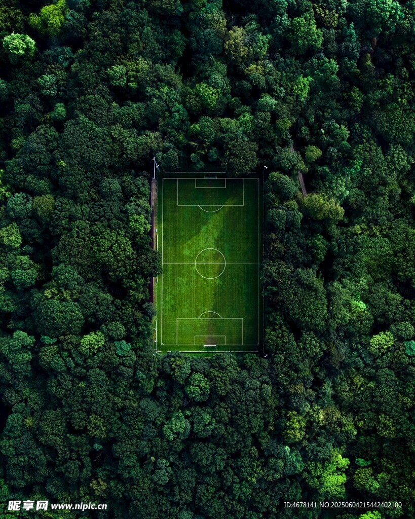 森林中的绿色矩形空间
