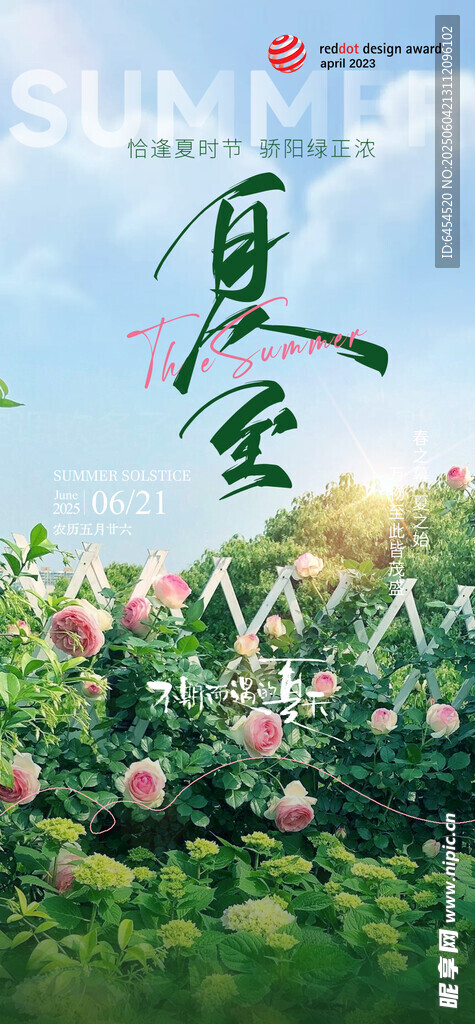 夏至节气海报