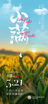小满节气海报