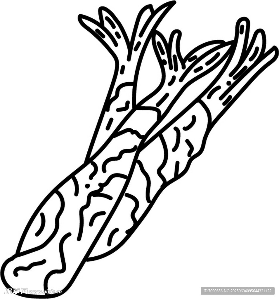 手绘线条勾勒的奇特植物