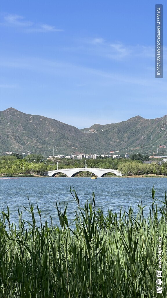 湖畔芦苇与远山桥梁美景