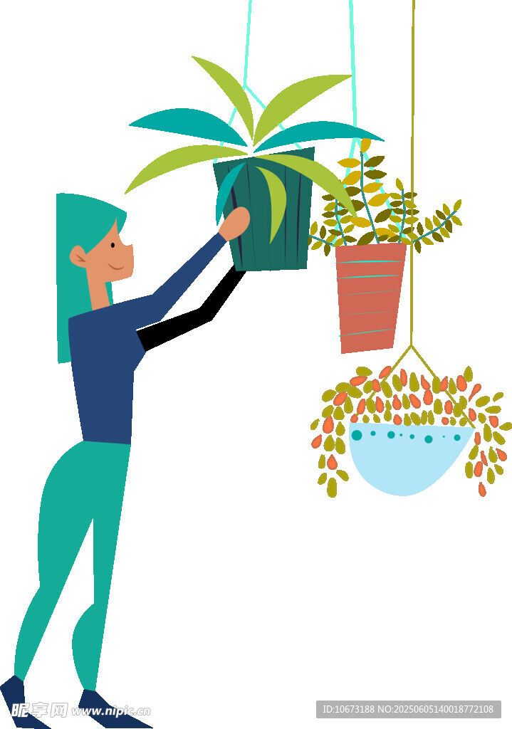 女子悬挂绿植装点空间