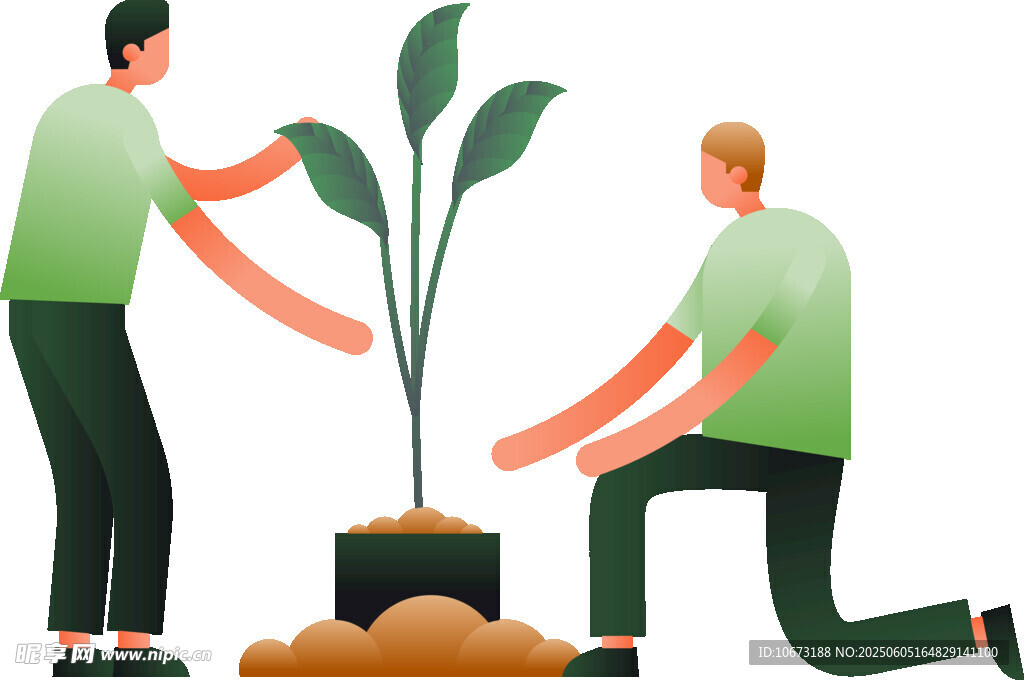 两人齐心共植一棵树苗