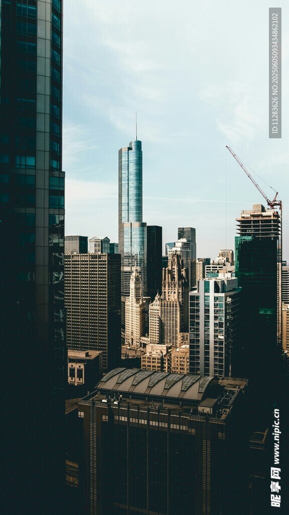 都市高楼景观