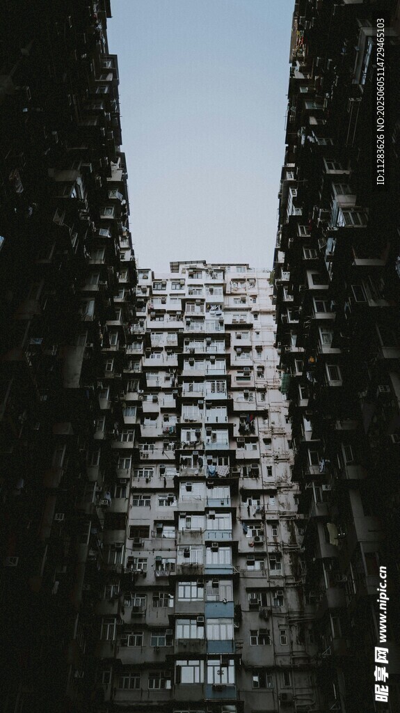 高楼林立的城市景象