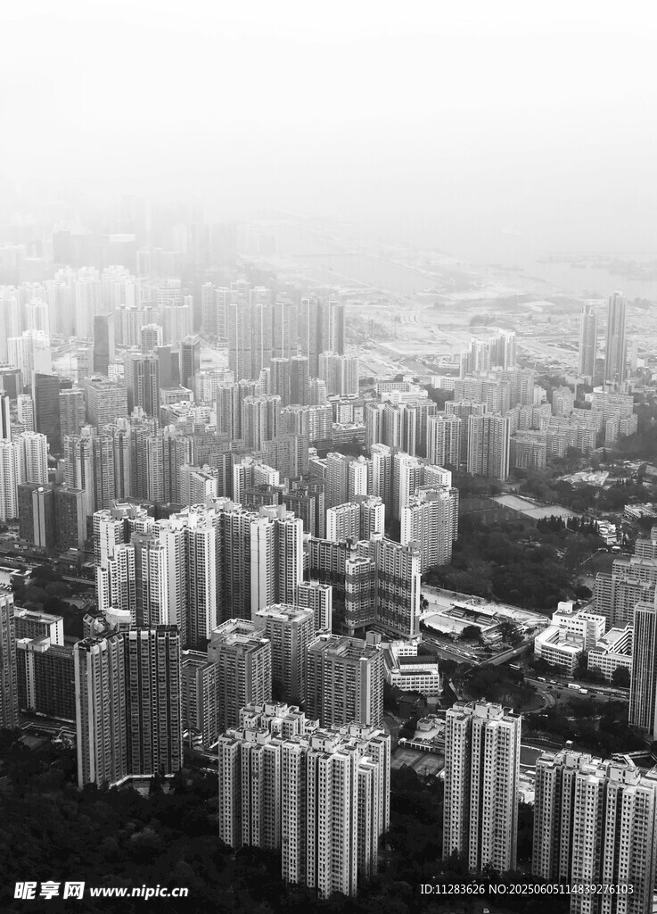 雾中林立的城市建筑群