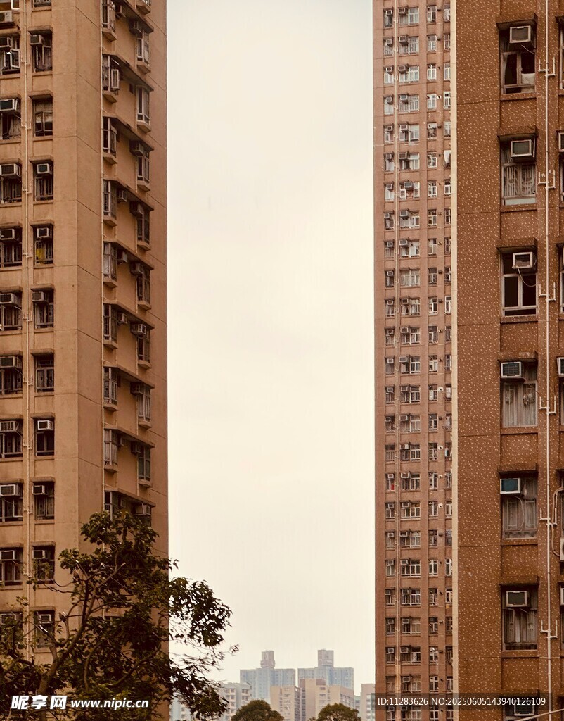 高楼林立的城市景象