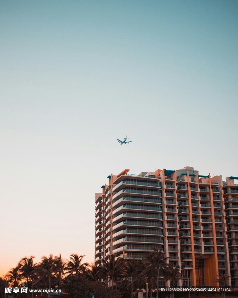 夕阳下的高楼与空中飞鸟