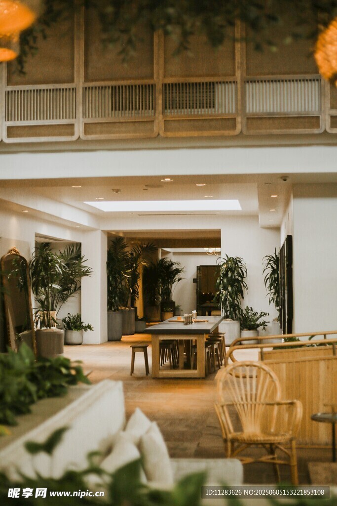 温馨雅致的室内家居场景