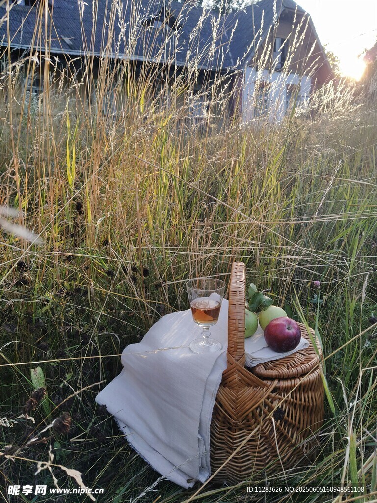 户外草地野餐场景布置