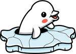 冰上的可爱白海豹