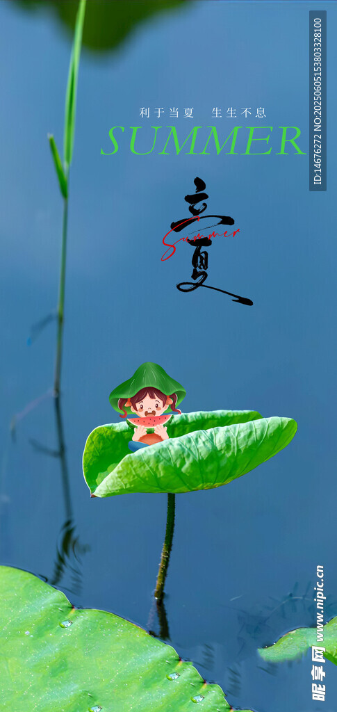 夏至海报
