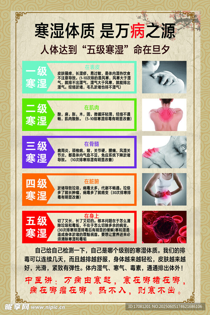湿寒体质 湿寒等级