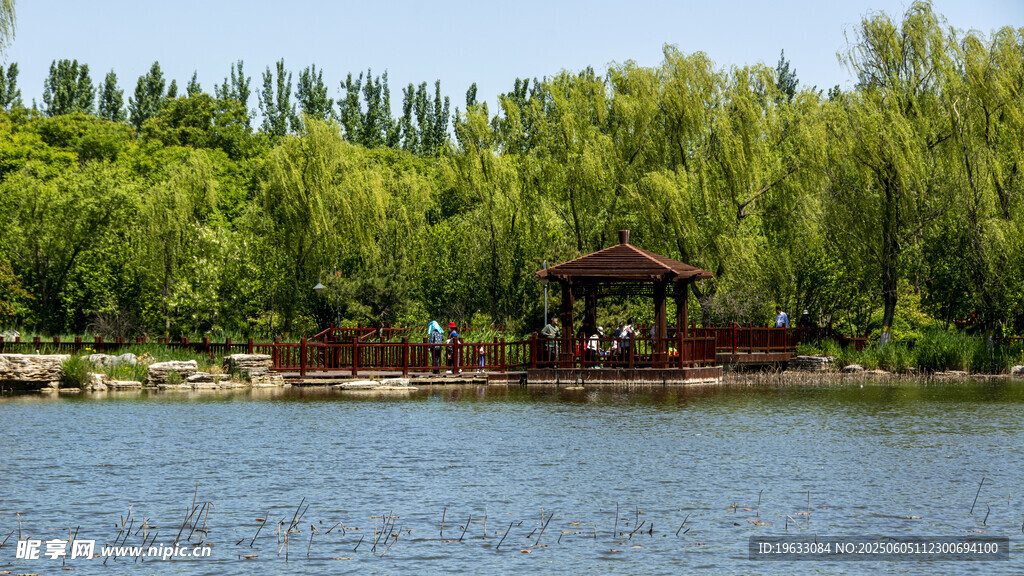 湖畔湖景