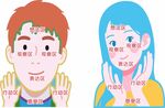 男女五感区示意图
