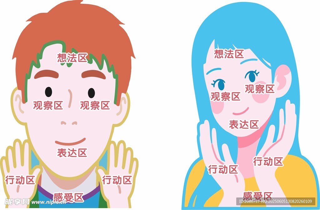 男女五感区示意图