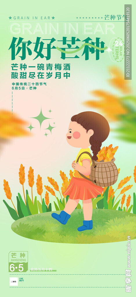 芒种 