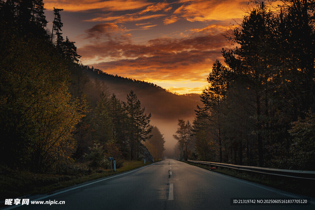 黄昏下的林间公路美景