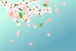  花朵蓝色背景