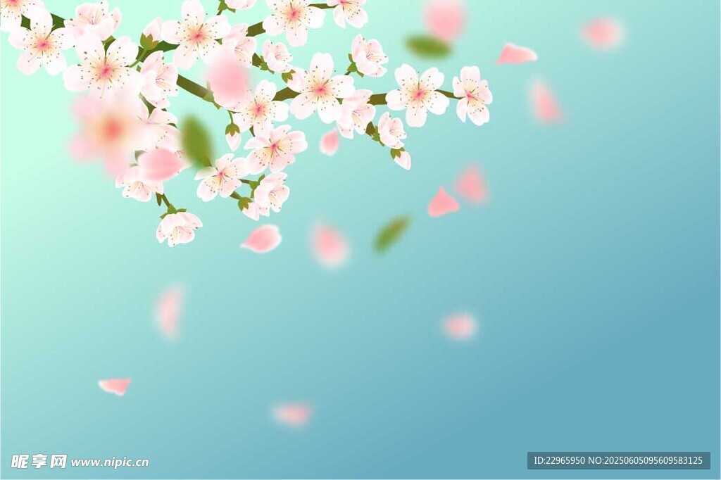  花朵蓝色背景