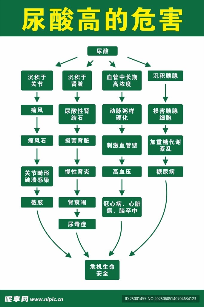 尿酸高的危害流程图