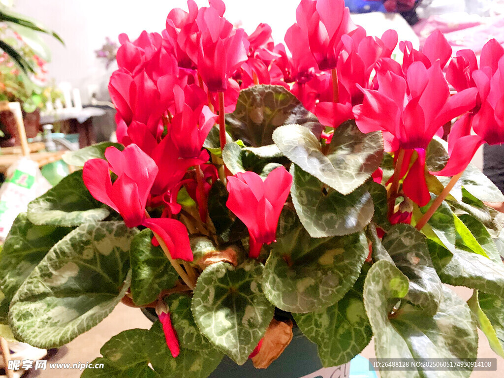 花
