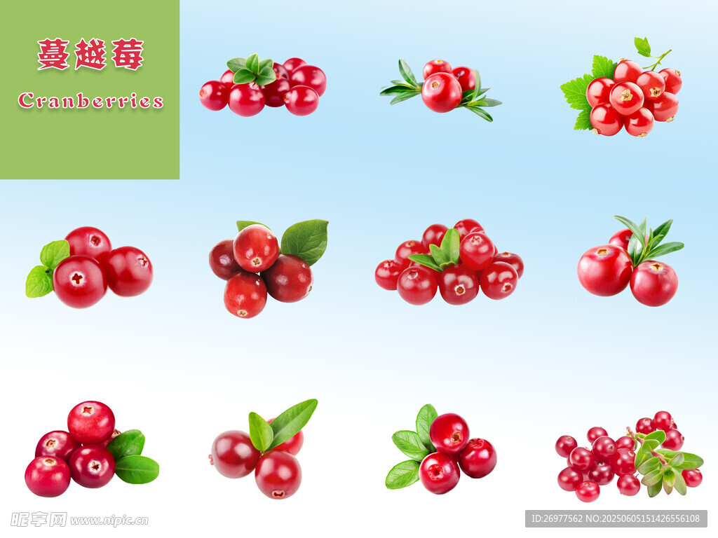 蔓越莓 